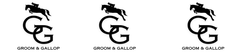 Sponsor